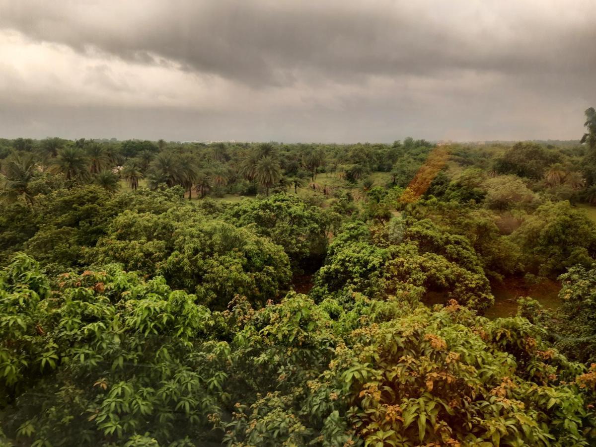 The Palm View Daman Luaran gambar